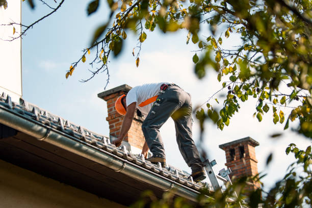 Best Roof Gutter Cleaning  in South Coventry, CT
