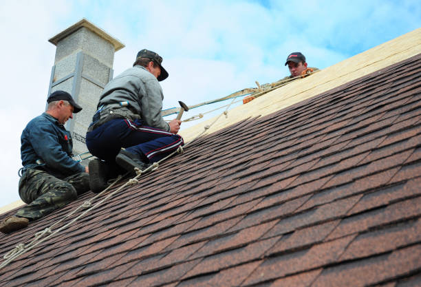 Best Gutter Installation and Roofing  in South Coventry, CT